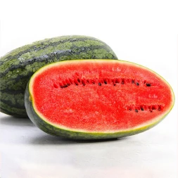 product-253-253 product-253-253